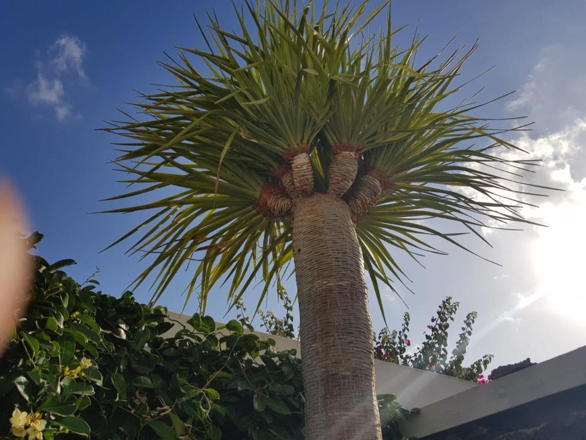 Villa Fenix Puerto del Carmen  Luaran gambar